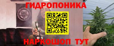 шишки Бузулук