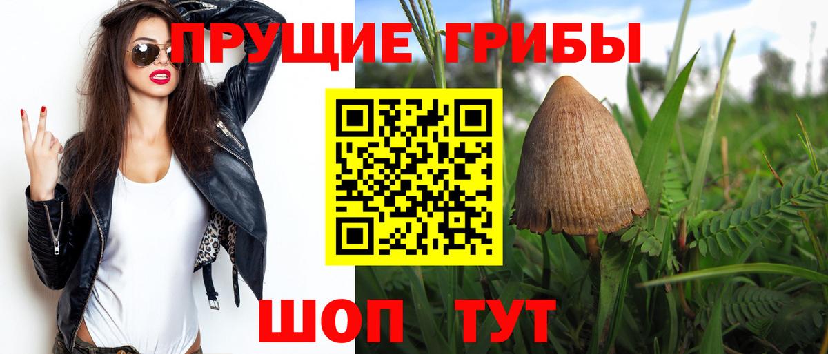 Псилоцибиновые грибы Psilocybe  Вход с VPN  Энгельс  Псилоцибиновые грибы мицелий 